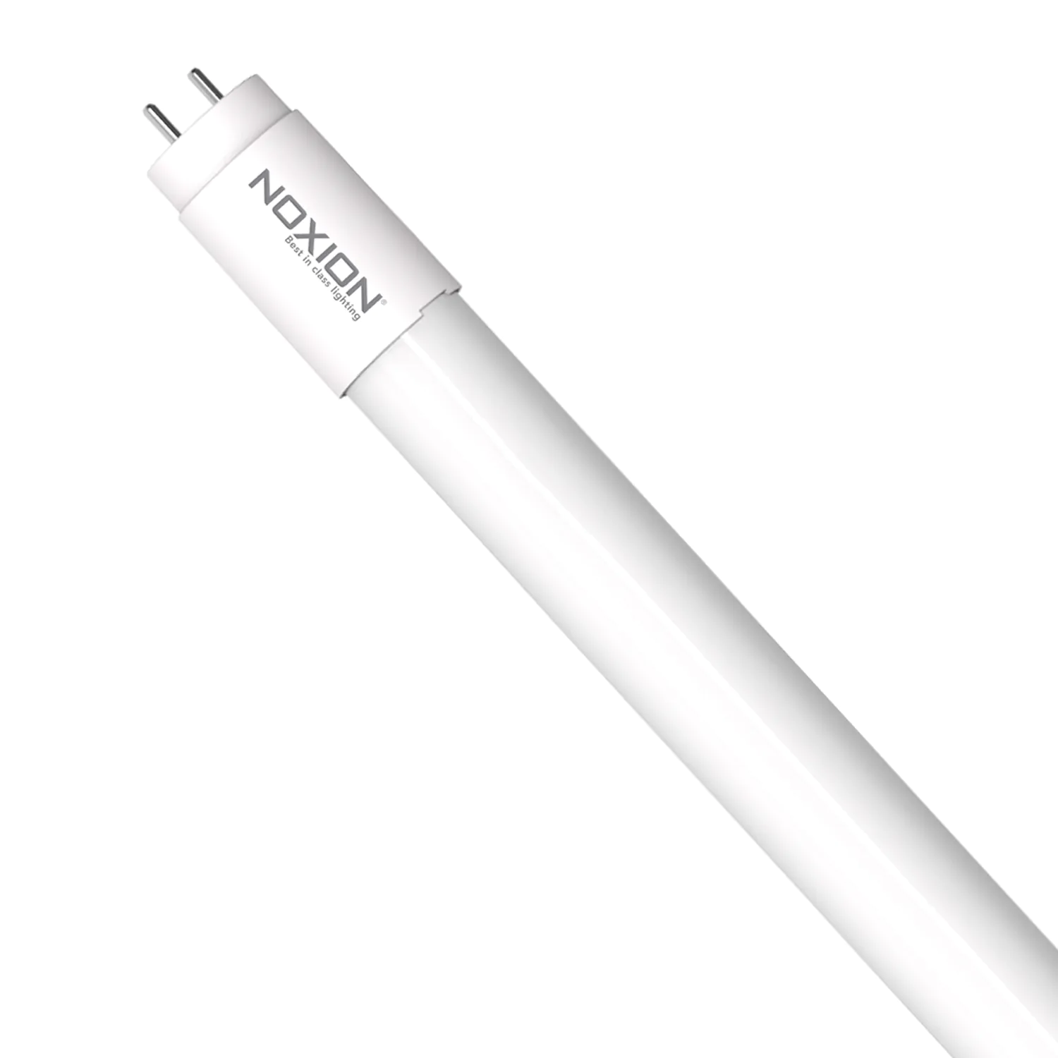 Noxion T8 LED Röhren