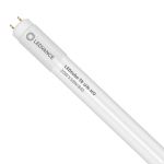 Ledvance LED Röhre T8 Performance (UN) High Output 20W 3100lm - 840 Kaltweiß | 150cm - Ersatz Für 58W