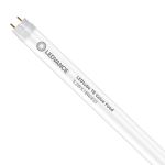 Ledvance LED Röhre T8 Performance Food (EM/Mains) Standard Output 5.2W 500lm - 833 Warmweiß | 60cm - Ersatz für 18W