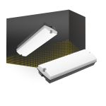 LED-Wand- Und Deckenleuchte Schwarz 3W 280lm - 840 Kaltweiß | IP66