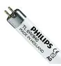 Philips MASTER Super 80 T5 Short 6W - 840 Kaltweiß | 21cm