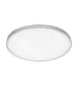 Ledvance LED Panel Rund Planon rahmenlos 19W - 830