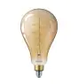 Philips Classic LED Glühbirne E27 Birne Gold 7W 470lm - 818 Extra Warmweiß | Dimmbar - Ersatz für 40W
