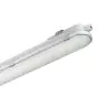 Philips LED Feuchtraumleuchte CoreLine WT120C Gen2 57W 8000lm - 840 Kaltweiß | 150cm