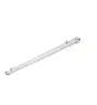 Philips LED Feuchtraumleuchte Pacific WT490C 97W 15000lm - 840 Kaltweiß | 180cm