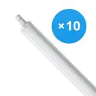 Mehrfachpackung 10x Philips LED Feuchtraumleuchte Ledinaire WT060C 30W 3600lm - 840 Kaltweiß | 120cm